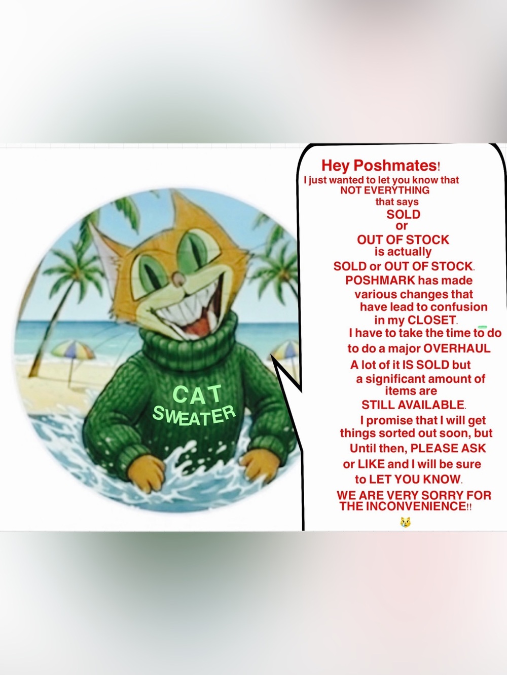“NOTES FROM THE CAT IN THE SWEATER”